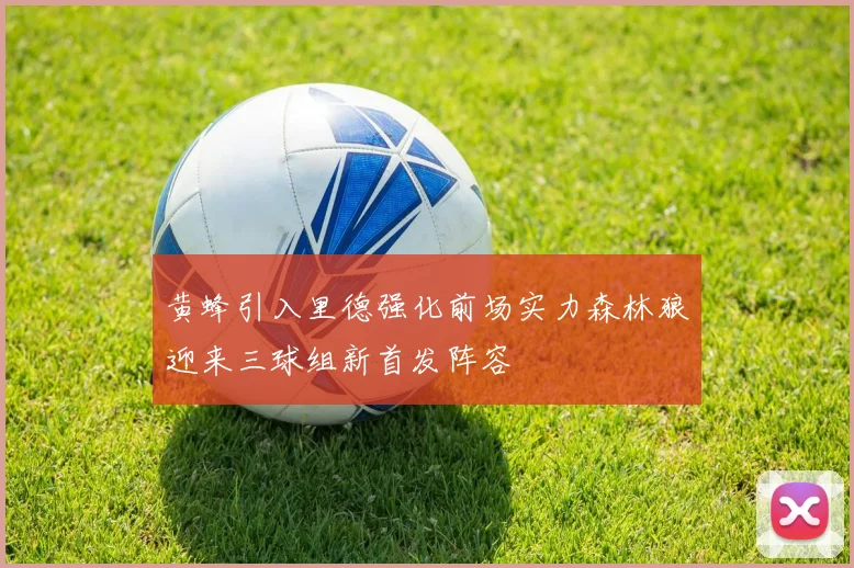 黄蜂引入里德强化前场实力森林狼迎来三球组新首发阵容