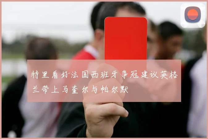 特里看好法国西班牙争冠建议英格兰带上马奎尔与帕尔默